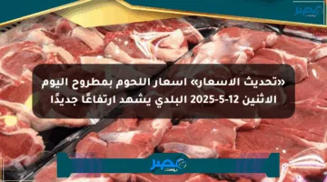 «تحديث الأسعار» أسعار اللحوم بمطروح اليوم الإثنين 12-5-2025 البلدي يشهد ارتفاعًا جديدًا